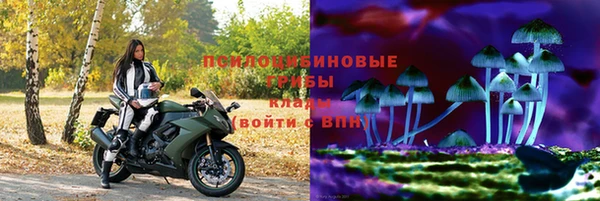 прущие грибы Алзамай