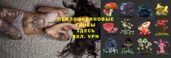 прущие грибы Алзамай